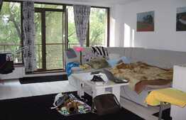 Apartament 2 camere, 40 mp, etaj intermediar, zona Parcul Babes
