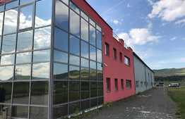 Hala 700 mp cu showroom si birouri 280 mp utili! Teren 1000 mp!