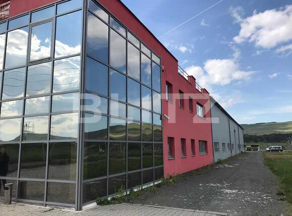 Spațiu industrial de închiriat Exterior Vest - 25752SII | BLITZ Cluj-Napoca | Poza1