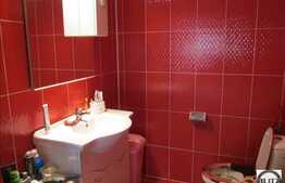 Vanzare 2 camere in zona Profi, TERASA 16 mp