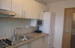 Garsoniera de 35 mp! Mobilata si utilata! Garaj subteran! Zona strazii Ioan Rus!