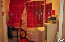 Vanzare 2 camere 41 mp utili, plus pod, in zona sensului giratoriu