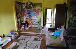 Apartament 1 camera, 70 mp, terasa, imobil tip casa/vila, zona Campului