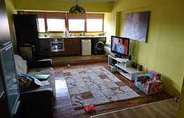 Apartament 1 camera, 70 mp, terasa, imobil tip casa/vila, zona Campului