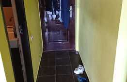 Apartament 1 camera, 70 mp, terasa, imobil tip casa/vila, zona Campului