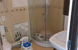 Apartament 1 camera, 70 mp, terasa, imobil tip casa/vila, zona Campului