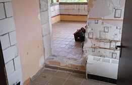 Apartament 1 camera, 70 mp, terasa, imobil tip casa/vila, zona Campului