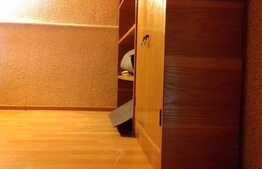 De vanzare garsoniera, 20 mp, zona centrala