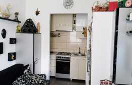 Apartament 2 camere, 42,5 mp, in casa/vila, boxa subsol, zona Teatrul National