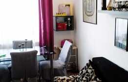 Apartament 2 camere, 42,5 mp, in casa/vila, boxa subsol, zona Teatrul National