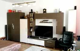 Apartament 2 camere, 42,5 mp, in casa/vila, boxa subsol, zona Teatrul National