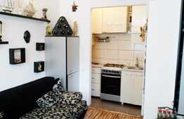 Apartament 2 camere, 42,5 mp, in casa/vila, boxa subsol, zona Teatrul National