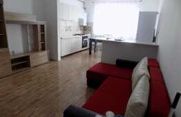 De inchiriat apartament 3 camere, 70 mp! Mobilat si utilat! Zona Somesului!