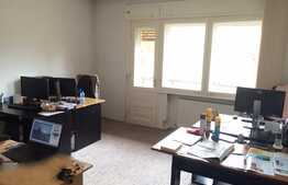 Vanzare casa cuplata, 167 mp, 100 mp teren, zona Interservisan