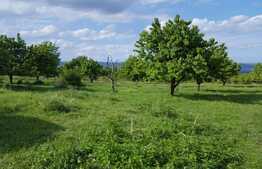 Teren intravilan, 2900 mp, 2 fronturi 20 ml, zona linistita