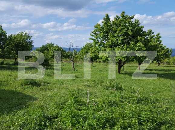 Teren de vânzare Făget - 25825TV | BLITZ Cluj-Napoca | Poza1