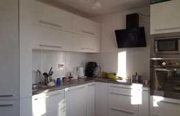 Vanzare casa individuala, 300 mp, 1000 mp teren, zona linistita de case si vile!