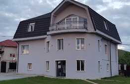 Vanzare casa individuala, 300 mp, 1000 mp teren, zona linistita de case si vile!