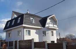 Vanzare casa individuala, 300 mp, 1000 mp teren, zona linistita de case si vile!