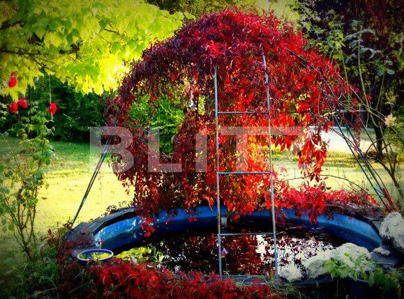 Casa de vânzare 5 camere Floreşti - 25831CV | BLITZ Cluj-Napoca | Poza10