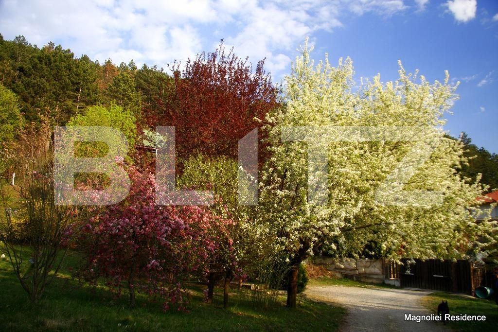 Casa de vânzare 5 camere Floreşti - 25831CV | BLITZ Cluj-Napoca | Poza12