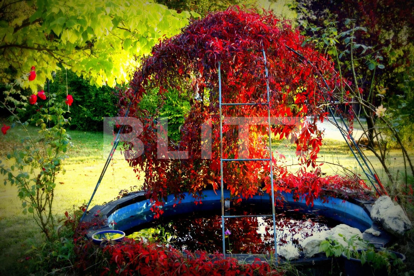 Casa de vânzare 5 camere Floreşti - 25831CV | BLITZ Cluj-Napoca | Poza10