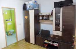 Garsoniera de inchiriat, 26 mp, zona Profi