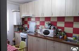 Apartament de vanzare cu 1 camera,  40 mp, zona Sesul de Sus