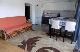 De inchiriat 2 camere, 50 mp! Mobilat si utilat! Gradina de 27 mp! Zona Eroilor!