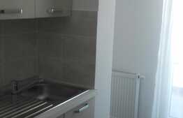 Apartament 3 camere, 76 mp, terasa 40 mp, garaj, zona strazii Nicolae Titulescu