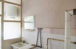 Apartament 2 camere, 65 mp, gradina 50 mp, zona Stadionului CFR