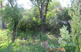 Apartament 2 camere, 65 mp, gradina 50 mp, zona Stadionului CFR