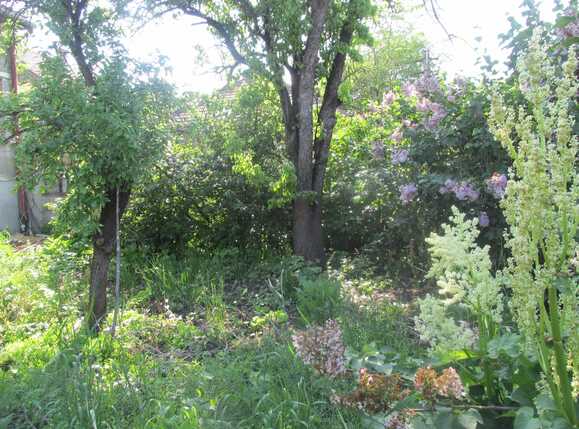 Apartament de vânzare 2 camere Gruia - 25868AV | BLITZ Cluj-Napoca | Poza8