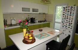 2 camere, 44 mp, decomandat, etaj intermediar, zona strazii Primaverii