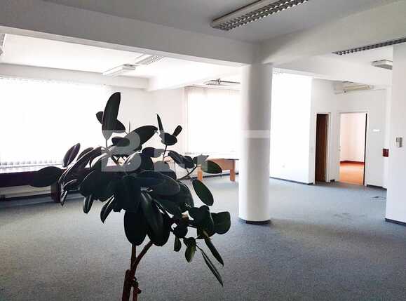 Spațiu birouri de închiriat Zorilor - 25894SIB | BLITZ Cluj-Napoca | Poza1