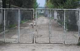 Hala pentru productie sau depozitare, 5000 mp