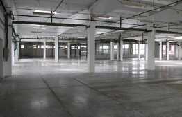 Hala pentru productie sau depozitare, 5000 mp