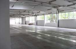 Hala pentru productie sau depozitare, 5000 mp