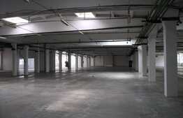 Hala pentru productie sau depozitare, 5000 mp