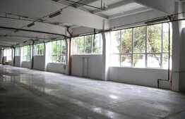 Hala pentru productie sau depozitare, 5000 mp