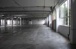 Hala pentru productie sau depozitare, 5000 mp