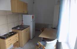 Garsoniera, 30 mp, decomandata,  zona Piata Marasti