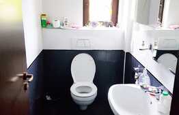 Spatiu pentru birouri sau showroom, 160 mp, zona Kaufland