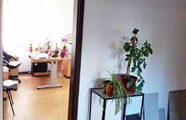 Spatiu pentru birouri sau showroom, 160 mp, zona Kaufland