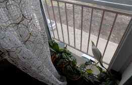 Apartament 2 camere, 60 mp! Parcare cu CF! Mobilat si utilat! Zona Porii!