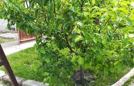 De vanzare duplex, 90 mp, teren 275 mp, zona linistita!