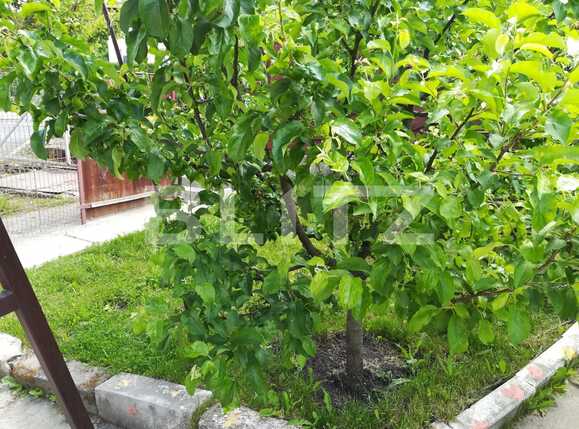 Casa de vânzare 3 camere Făget - 25930CV | BLITZ Cluj-Napoca | Poza10