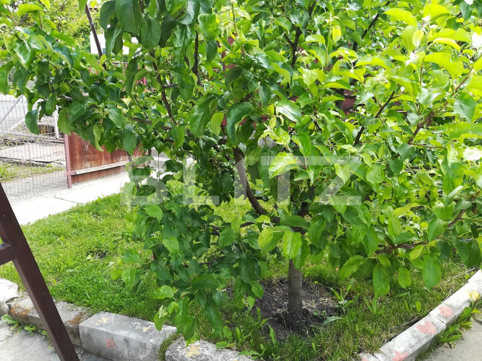 Casa de vânzare 3 camere Făget - 25930CV | BLITZ Cluj-Napoca | Poza10