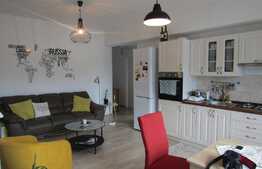 Apartament 3 camere, 60 mp! Mobilat si utilat! 3 balcoane! Zona Tauti!