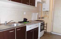 2 camere, 50 mp, mobilat modern,  zona Hotelului Golden Tulip 